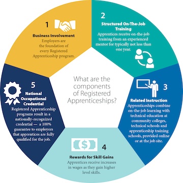The five components of Registered Apprenticeship are business involvement, structured on-the-job training, related instruction, rewards for skill gains and national occupational credential.